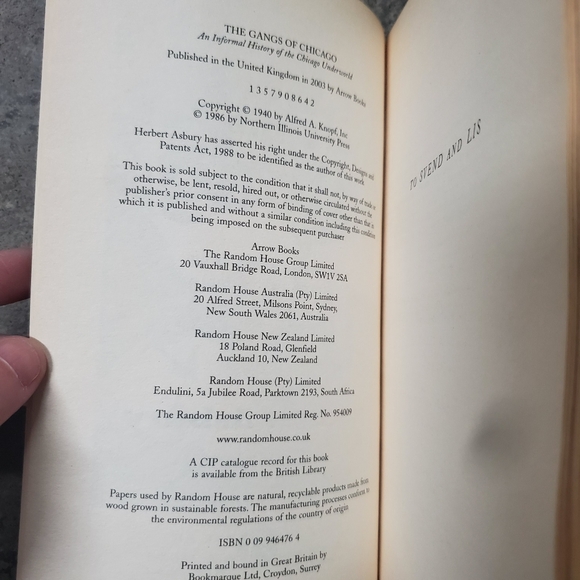 The Gangs of Chicago by Herbert Asbury (paperback book) - Picture 3 of 7